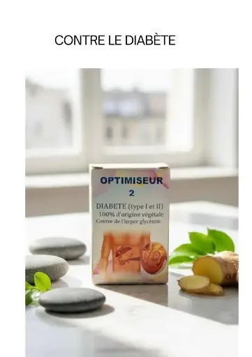 OPTIMISEUR