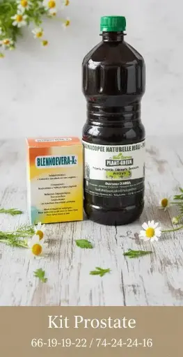 KIT PROSTATITE